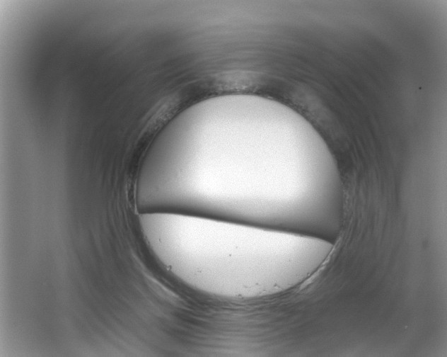 X0000064730166200602101007