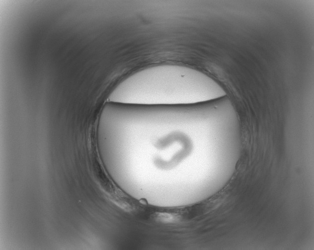 X0000064730167200602101007