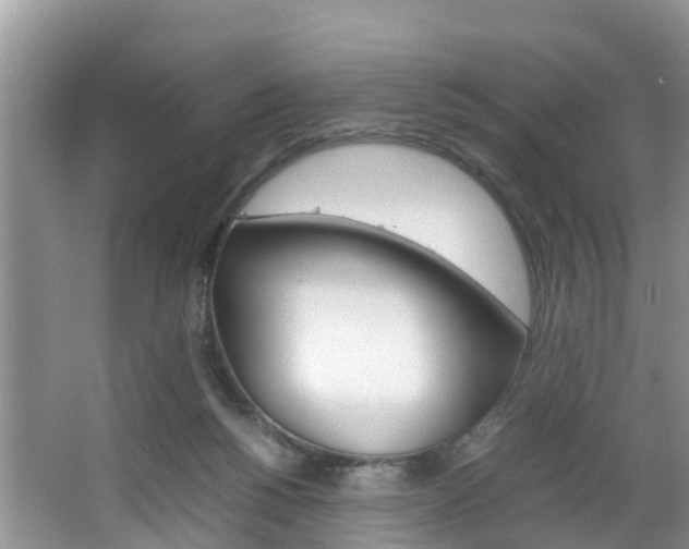 X0000064730168200602101007