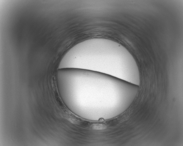 X0000064730169200602101007