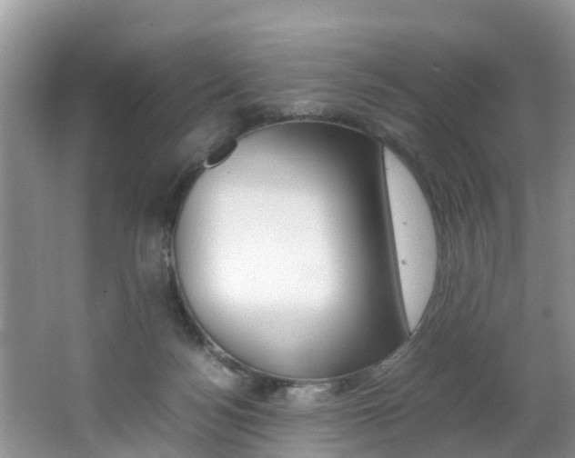 X0000064730172200602101007