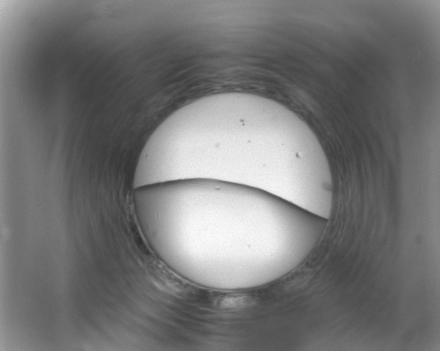 X0000064730173200602101007