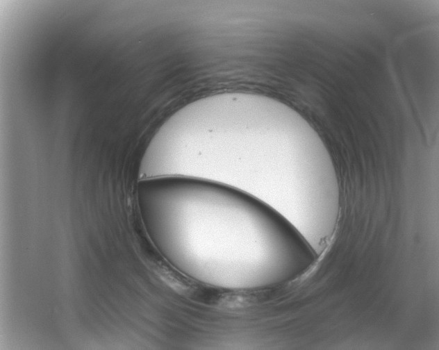 X0000064730174200602101007