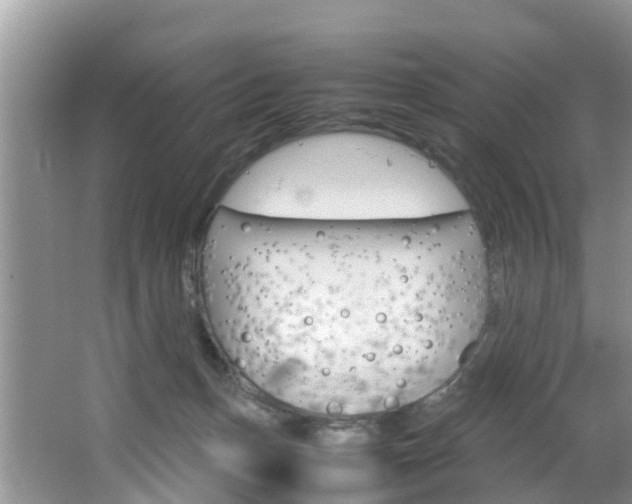 X0000064730175200602101007