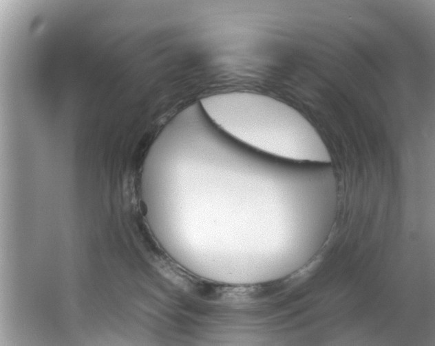 X0000064730182200602101007