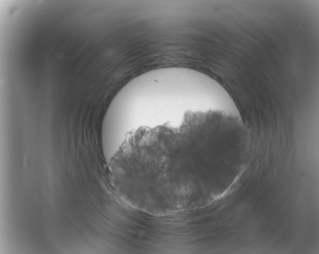 X0000064730187200602101007