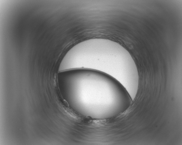 X0000064730188200602101007