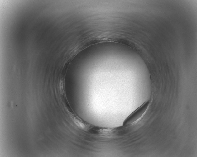 X0000064730192200602101007