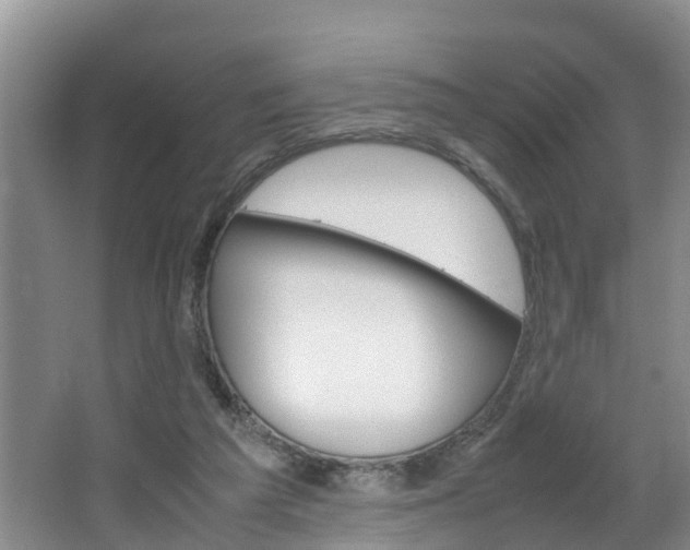 X0000064730209200602101006
