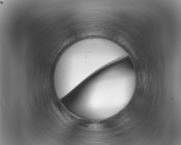 X0000064730212200602101006