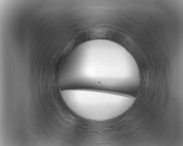 X0000064730224200602101006