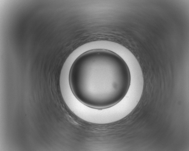 X0000064730235200602101006