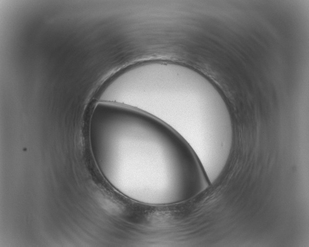 X0000064730252200602101005