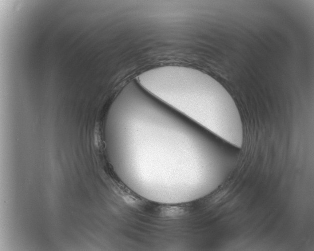 X0000064730287200602101005