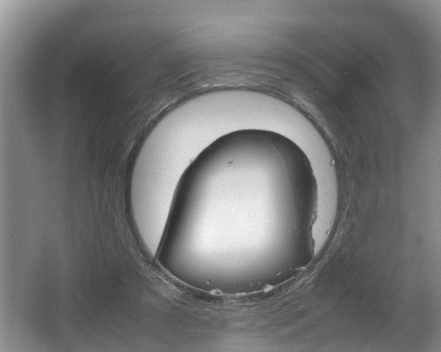 X0000064730305200602101004