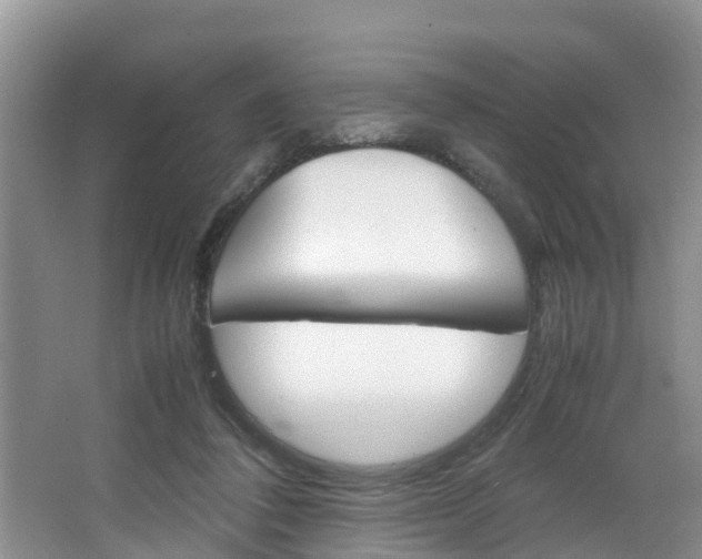 X0000064730308200602101004