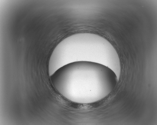 X0000064730321200602101004