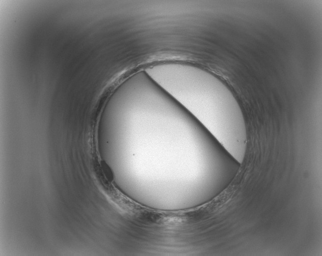 X0000064730352200602101003