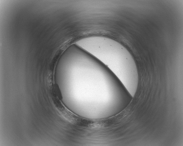 X0000064730356200602101003