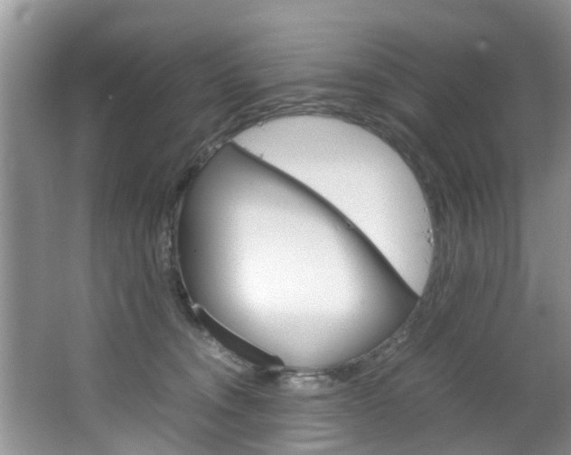 X0000064730372200602101004