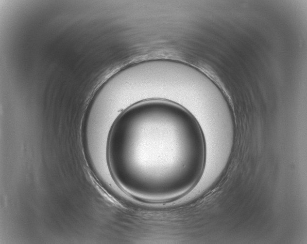 X0000064730389200602101003