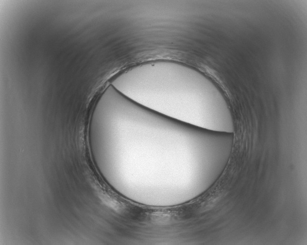 X0000064730394200602101003