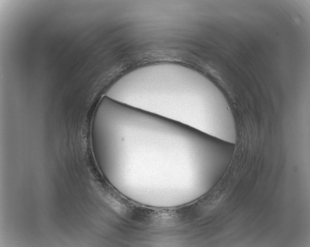 X0000064730402200602101003