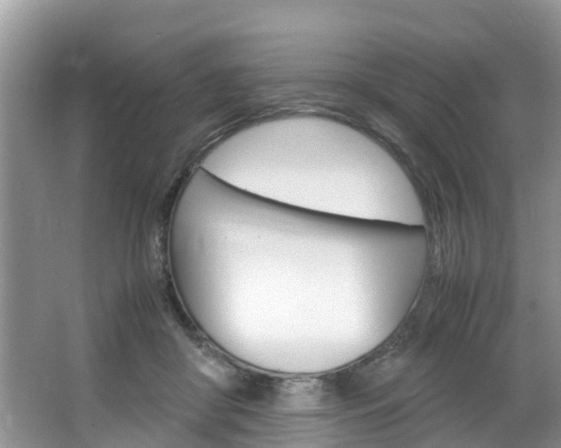 X0000064730410200602101003