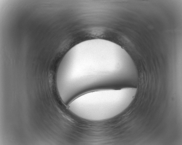 X0000064730412200602101003