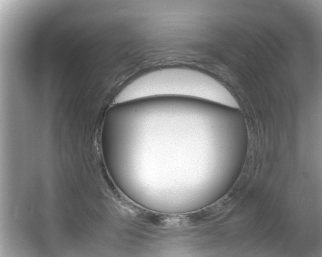 X0000064730415200602101003