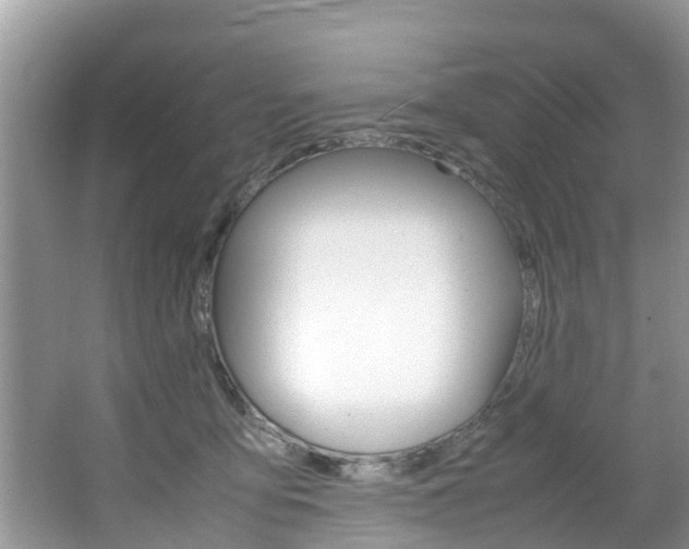 X0000064730419200602101002