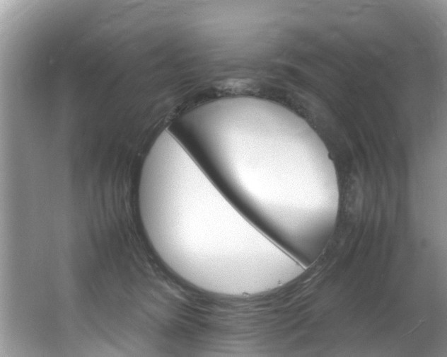 X0000064730420200602101002