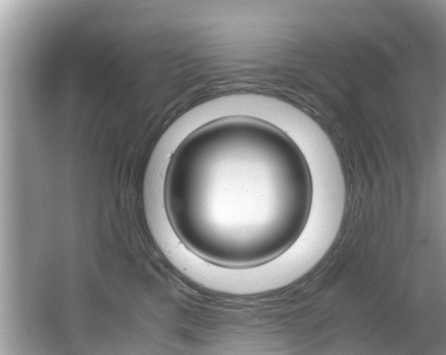 X0000064730425200602101002