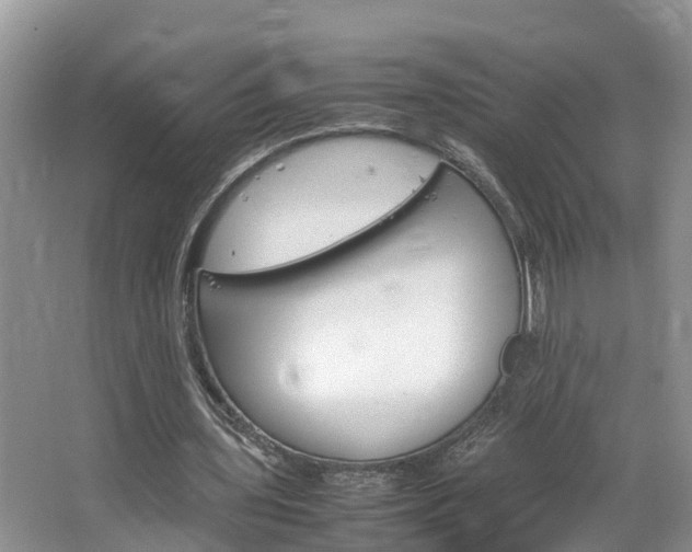 X0000064730435200602101001