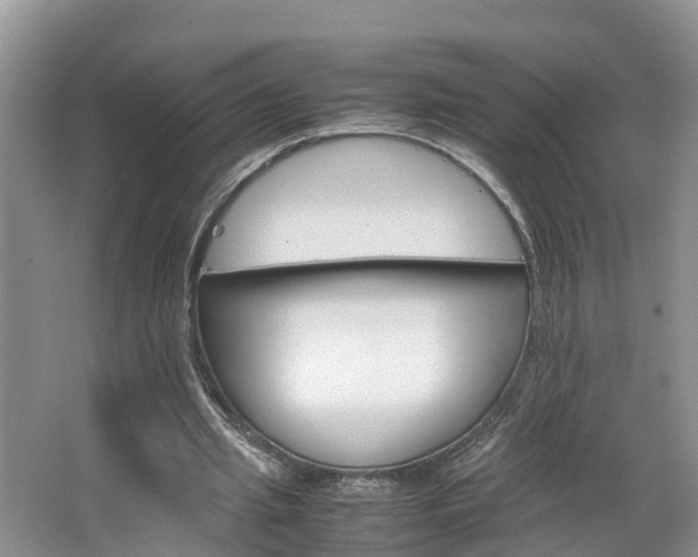 X0000064730437200602101002