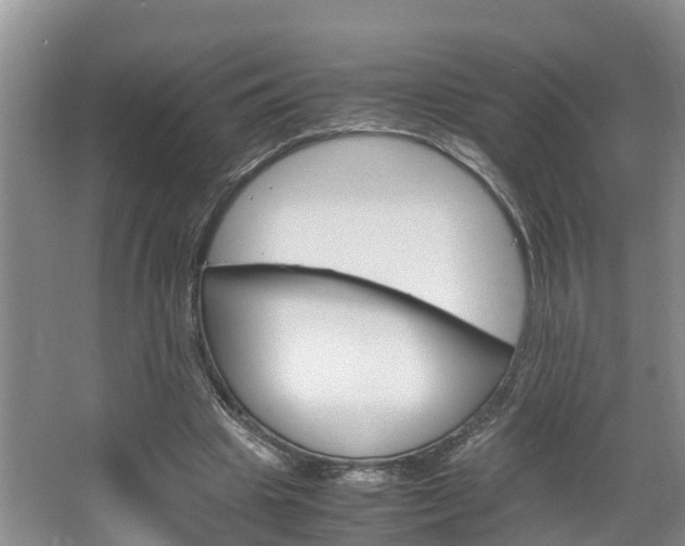 X0000064730441200602101002