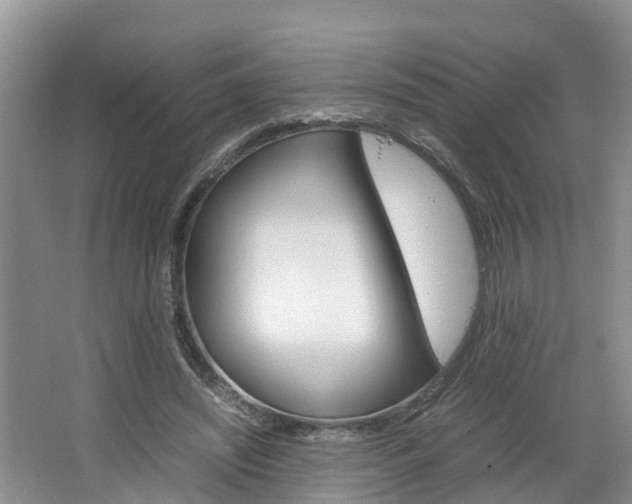 X0000064730444200602101002