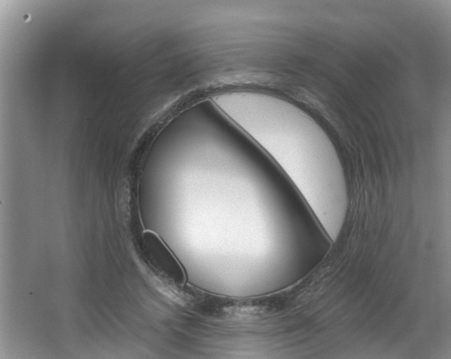 X0000064730448200602101002