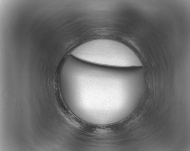 X0000064730455200602101002