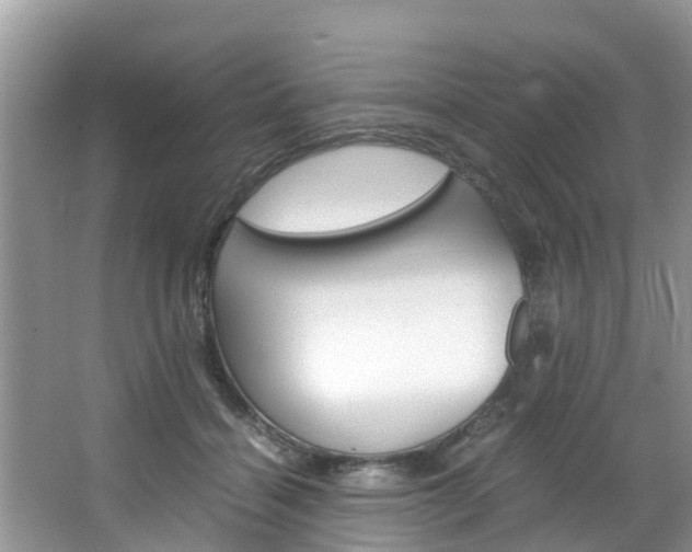 X0000064730460200602101002