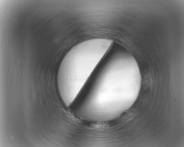 X0000064730466200602101002