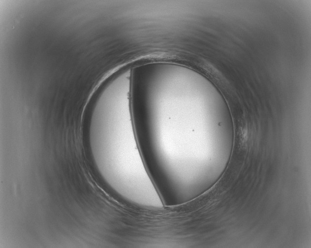 X0000064730484200602101001