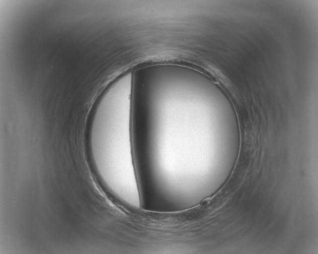 X0000064730485200602101001