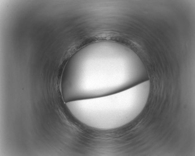 X0000064730504200602101001