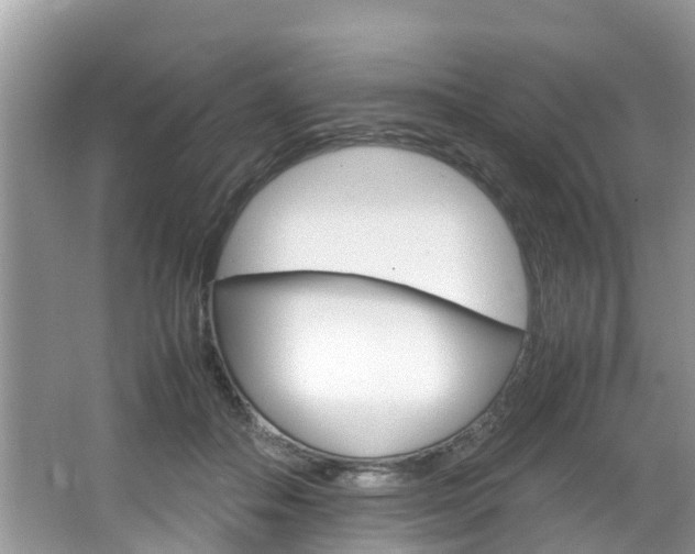 X0000064730506200602101001