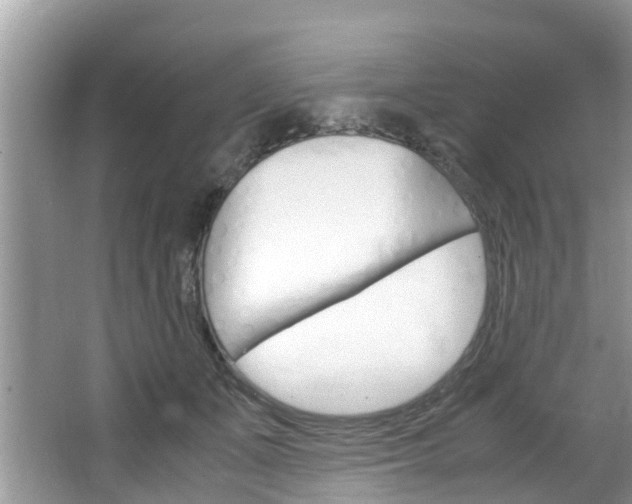 X0000064730511200602101001