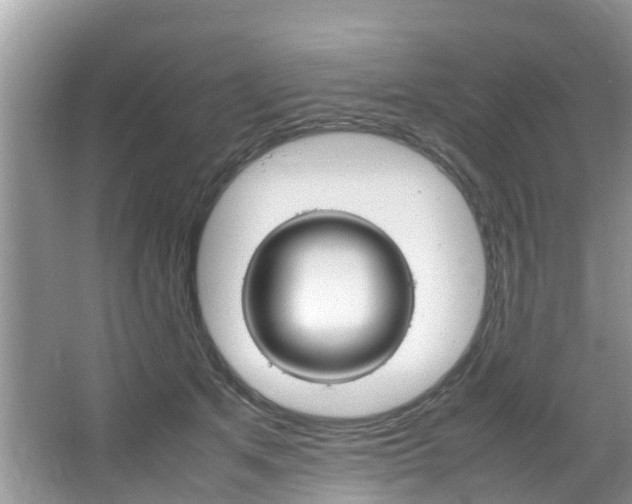 X0000064730513200602101001