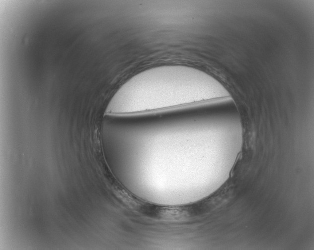 X0000064730521200602101001