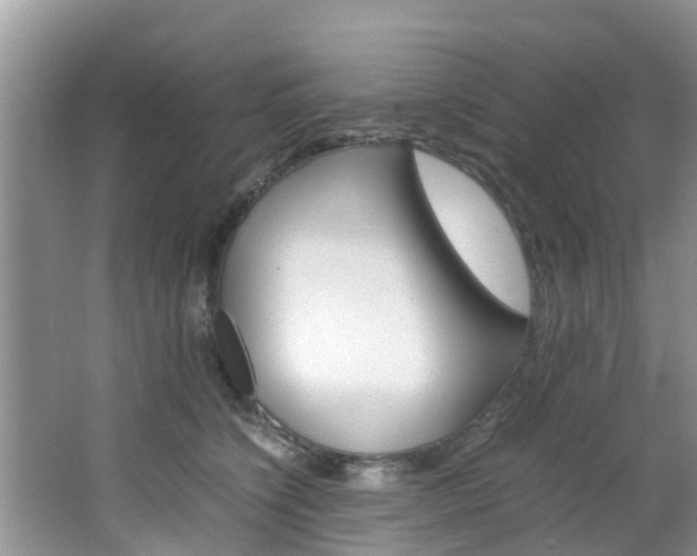 X0000064730564200602101000