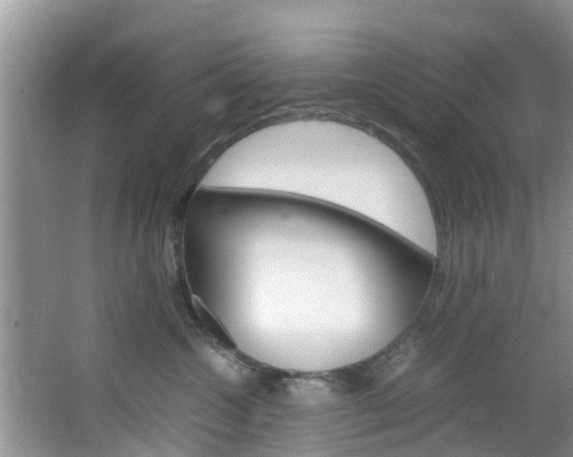 X0000064730572200602101001